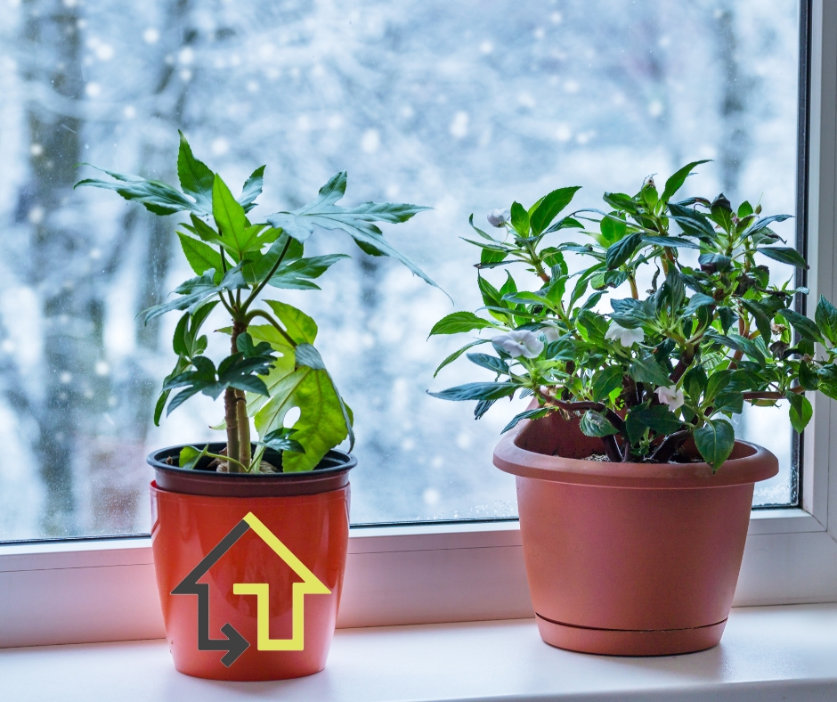 5 Reasons Your Home Windows Are Important During Winter